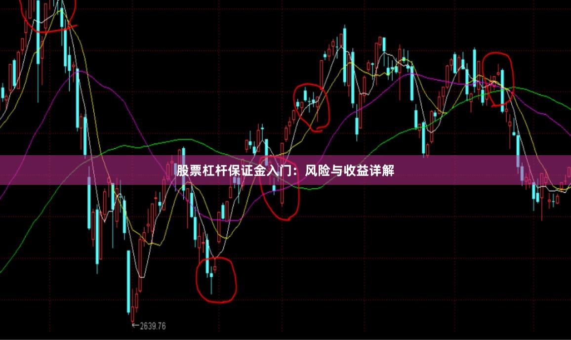 股票杠杆保证金入门：风险与收益详解